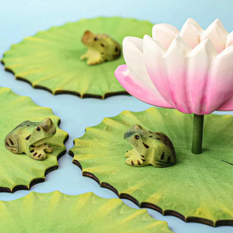 Frog - Image 2