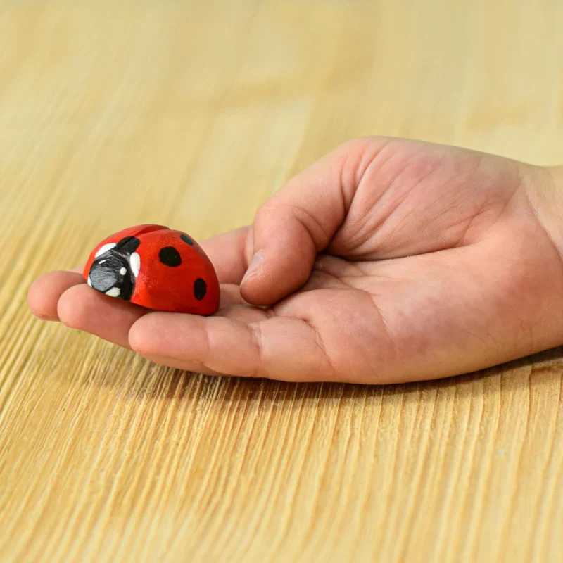 Insect Bundle - Image 4